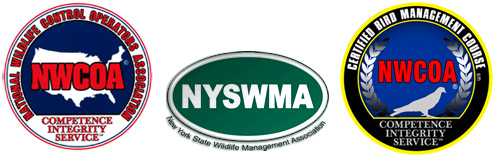 New York State Wildlife Management Association Member